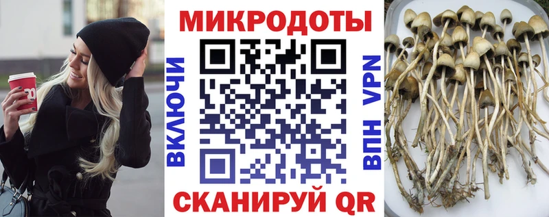 купить закладку  Зерноград  Галлюциногенные грибы ЛСД 